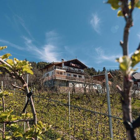 Malgorerhof Lavendel Сан-Дженезіо-Атезіно Екстер'єр фото